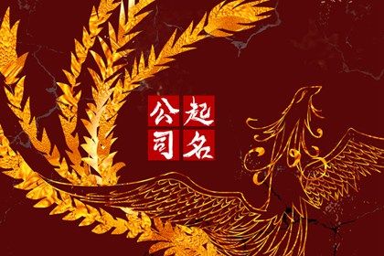起名在做什么?